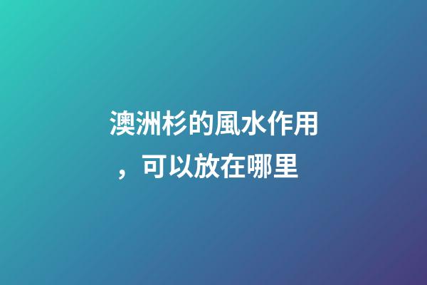 澳洲杉的風水作用，可以放在哪里